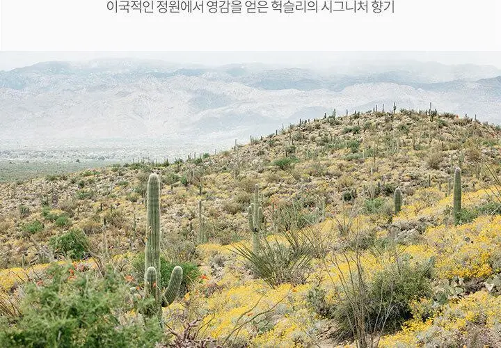 [화잘먹템]헉슬리 프라이밍 에센스 래디언스 레이어 30ml 상세페이지 10